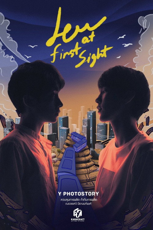 Love at First Sight poster